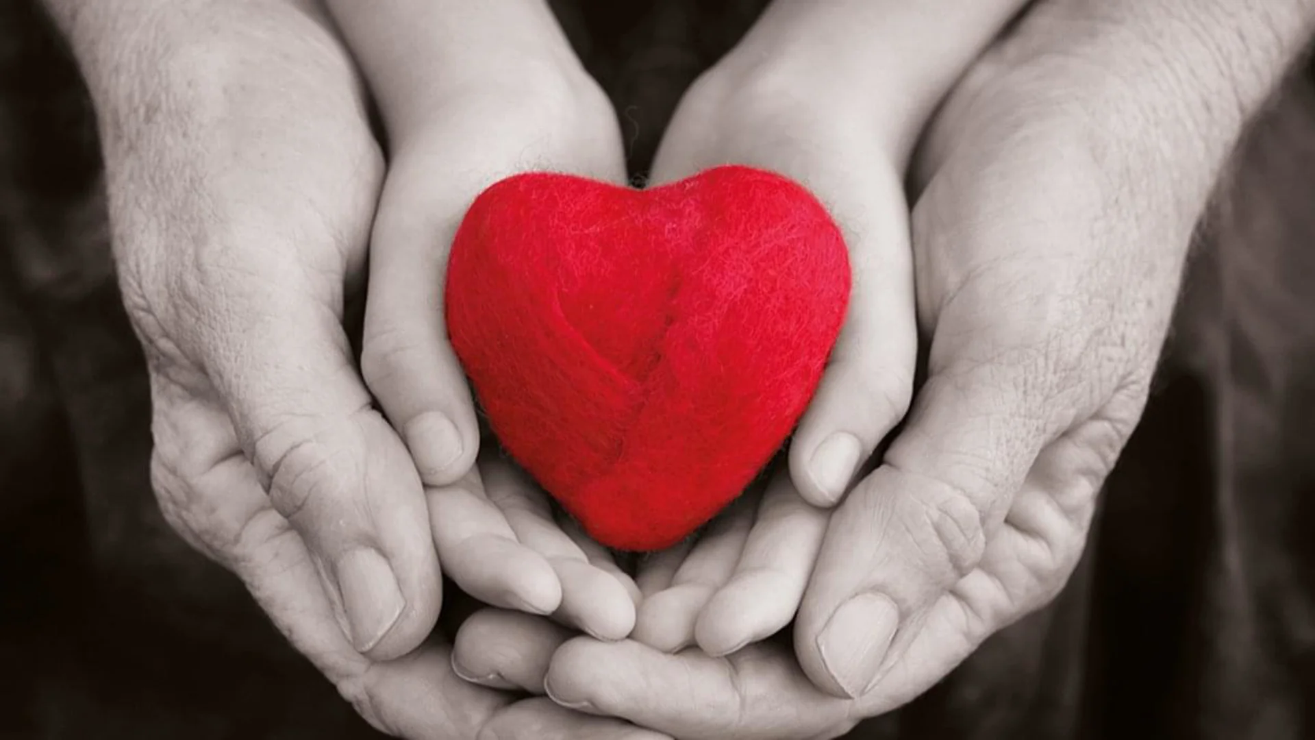 Merck Finck Stiftung